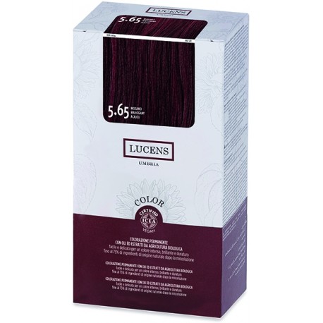 Tinta color lucens 5.65 - mogano